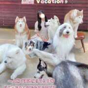 ヒメ日記 2025/03/21 22:34 投稿 みらい BUNNY（バニー）十三店