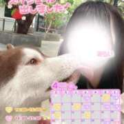 ヒメ日記 2025/03/28 12:24 投稿 みらい BUNNY（バニー）十三店