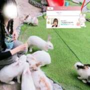 ヒメ日記 2025/04/05 12:24 投稿 みらい BUNNY（バニー）十三店