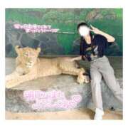 ヒメ日記 2025/04/11 12:09 投稿 みらい BUNNY（バニー）十三店