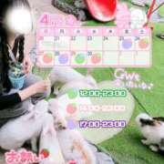 ヒメ日記 2025/04/16 21:17 投稿 みらい BUNNY（バニー）十三店