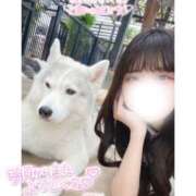 ヒメ日記 2025/04/24 12:09 投稿 みらい BUNNY（バニー）十三店