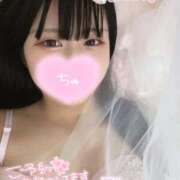 ヒメ日記 2025/04/25 09:09 投稿 みらい BUNNY（バニー）十三店