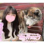 ヒメ日記 2025/05/03 08:14 投稿 みらい BUNNY（バニー）十三店