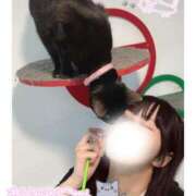 ヒメ日記 2025/05/12 08:15 投稿 みらい BUNNY（バニー）十三店