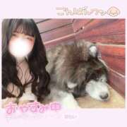 ヒメ日記 2025/06/02 22:47 投稿 みらい BUNNY（バニー）十三店