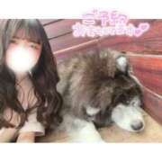 ヒメ日記 2025/07/31 07:45 投稿 みらい BUNNY（バニー）十三店