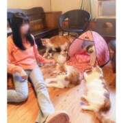 ヒメ日記 2025/08/05 12:00 投稿 みらい BUNNY（バニー）十三店