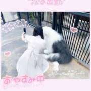 ヒメ日記 2025/09/15 20:30 投稿 みらい BUNNY（バニー）十三店