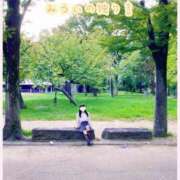 ヒメ日記 2025/09/21 23:03 投稿 みらい BUNNY（バニー）十三店