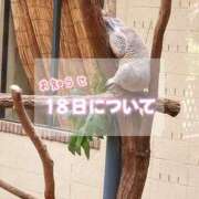 ヒメ日記 2025/10/10 18:30 投稿 みらい BUNNY（バニー）十三店