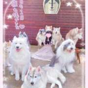 ヒメ日記 2025/10/17 18:45 投稿 みらい BUNNY（バニー）十三店