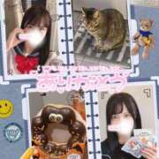 ヒメ日記 2025/10/29 23:46 投稿 みらい BUNNY（バニー）十三店