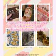 ヒメ日記 2025/11/16 00:01 投稿 みらい BUNNY（バニー）十三店