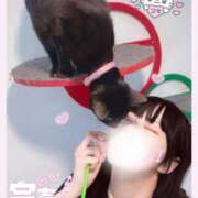 ヒメ日記 2025/12/06 07:45 投稿 みらい BUNNY（バニー）十三店