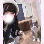 ヒメ日記 2025/12/06 23:45 投稿 みらい BUNNY（バニー）十三店