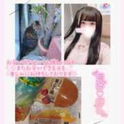 ヒメ日記 2025/12/19 00:00 投稿 みらい BUNNY（バニー）十三店