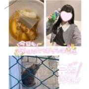 ヒメ日記 2026/01/13 00:00 投稿 みらい BUNNY（バニー）十三店