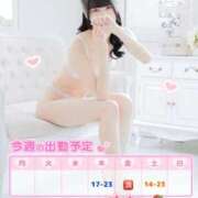 ヒメ日記 2026/01/26 07:45 投稿 みらい BUNNY（バニー）十三店