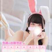 ヒメ日記 2026/02/17 07:45 投稿 みらい BUNNY（バニー）十三店