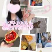 ヒメ日記 2026/02/21 08:01 投稿 みらい BUNNY（バニー）十三店