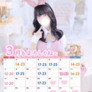 ヒメ日記 2026/02/23 20:45 投稿 みらい BUNNY（バニー）十三店