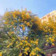 ヒメ日記 2025/03/15 21:30 投稿 戸田かんな 人妻家 古河・小山店