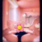 ヒメ日記 2025/02/19 12:17 投稿 ネネ クリエーション