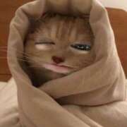 ヒメ日記 2025/02/25 14:21 投稿 ネネ クリエーション