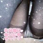 ヒメ日記 2025/03/16 13:20 投稿 ネネ クリエーション