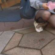 ヒメ日記 2025/04/08 11:23 投稿 ネネ クリエーション