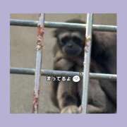 ヒメ日記 2025/05/10 09:02 投稿 ネネ クリエーション