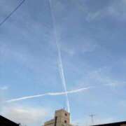 ヒメ日記 2025/05/14 10:30 投稿 ネネ クリエーション