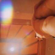 ヒメ日記 2025/06/27 15:31 投稿 ネネ クリエーション