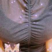 ヒメ日記 2025/07/15 12:49 投稿 ネネ クリエーション