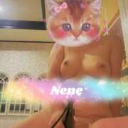 ヒメ日記 2025/07/28 11:13 投稿 ネネ クリエーション