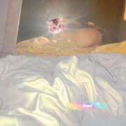 ヒメ日記 2025/08/02 12:32 投稿 ネネ クリエーション