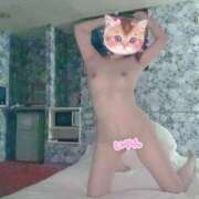 ヒメ日記 2025/09/19 14:40 投稿 ネネ クリエーション