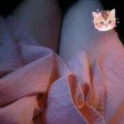 ヒメ日記 2025/10/01 16:30 投稿 ネネ クリエーション