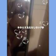 ヒメ日記 2026/01/31 11:40 投稿 ネネ クリエーション