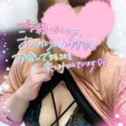 ヒメ日記 2025/02/11 20:47 投稿 ゆい 山梨甲府甲斐ちゃんこ