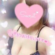 ヒメ日記 2025/02/27 15:02 投稿 ゆい 山梨甲府甲斐ちゃんこ