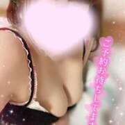 ヒメ日記 2025/03/03 15:05 投稿 ゆい 山梨甲府甲斐ちゃんこ