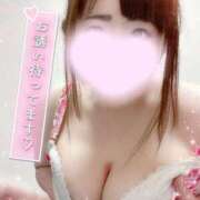 ヒメ日記 2025/03/17 19:01 投稿 ゆい 山梨甲府甲斐ちゃんこ