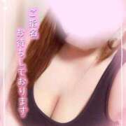 ヒメ日記 2025/04/01 14:53 投稿 ゆい 山梨甲府甲斐ちゃんこ