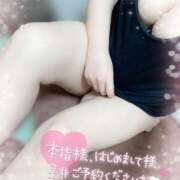 ヒメ日記 2025/04/23 13:35 投稿 ゆい 山梨甲府甲斐ちゃんこ