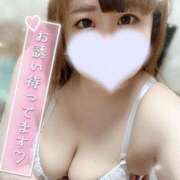 ヒメ日記 2025/04/23 17:02 投稿 ゆい 山梨甲府甲斐ちゃんこ