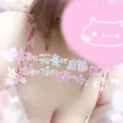 ヒメ日記 2025/04/26 15:02 投稿 ゆい 山梨甲府甲斐ちゃんこ