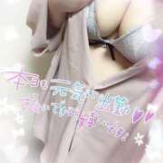 ヒメ日記 2025/05/11 15:03 投稿 ゆい 山梨甲府甲斐ちゃんこ