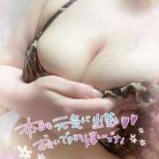 ヒメ日記 2025/06/02 14:01 投稿 ゆい 山梨甲府甲斐ちゃんこ